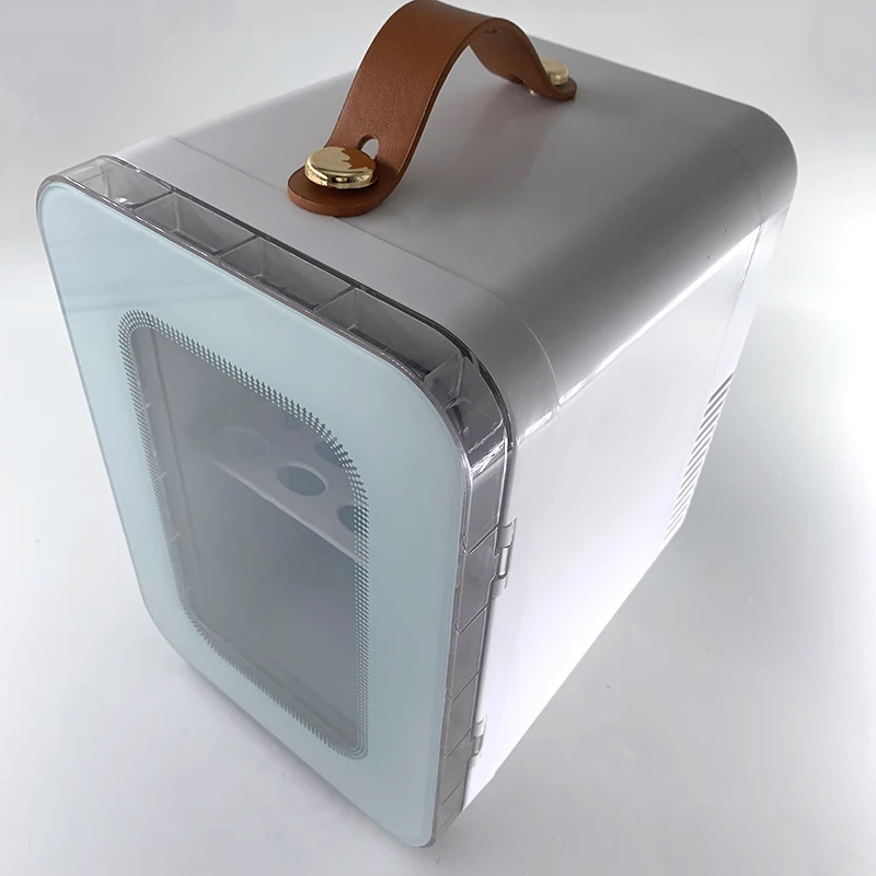 Home & Car Dual Refrigerator Mini Cosmetic Skincare Makeup Cooler Warmer Multifunctional Cooling Box 220V 110V 12V