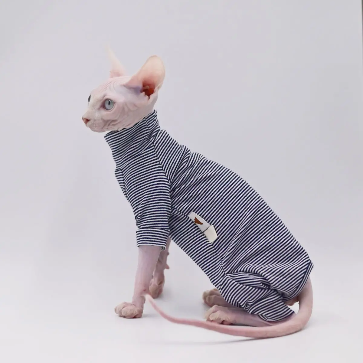 Sphynx Cat Leisure Clothes 3