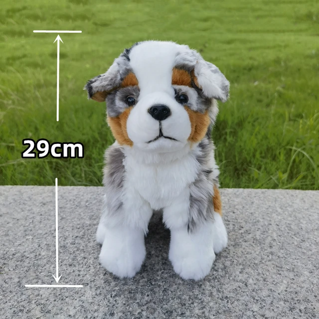 Australian Shepherd Dog High Fidelity Cute Plushie Dogs Plush Toys Lifelike  Animals Simulation Stuffed Doll Toy Gifts For Kids - AliExpress