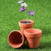 20 Pcs Terracotta Flower Pot Small Cactus Bulk Clay Basin Plant Mini for Plants Healthy Growth Decor Ceramic 2