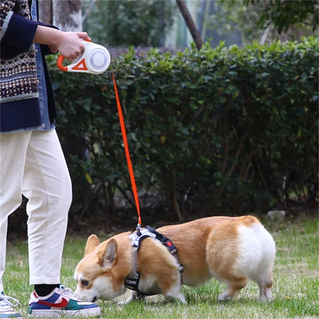Retractable Dog Leash with LED 3