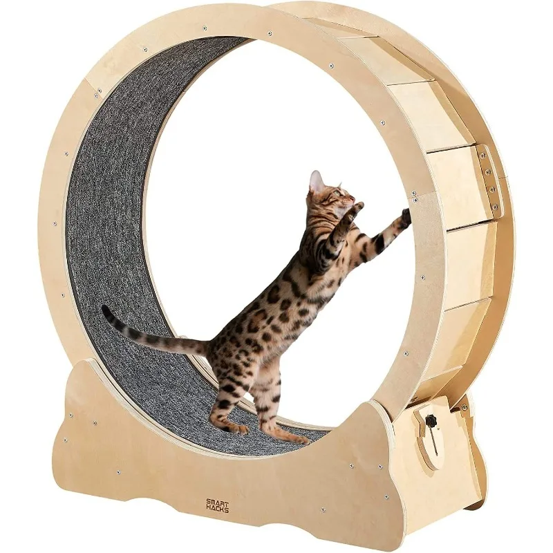 

Cat Wheel Trainer Suitable for Indoor Cats, Large Running Wheels, Cat Exercise Wheels with Locking Mechanism, Cat Treadmill