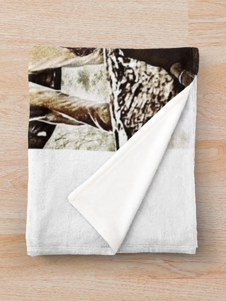 ���� ���� ���� �������� ������ ���, ���� ���, �Ŵ��� ���� ���, ��� ���