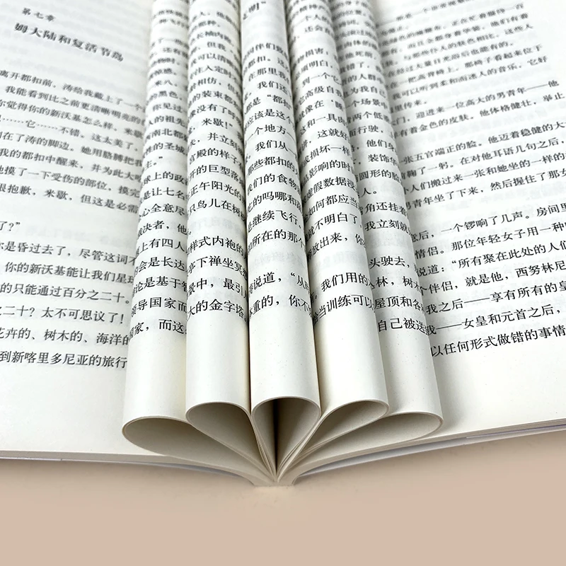 Рисунок 5 - Новая пророчная китайская версия