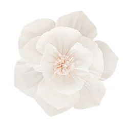 Crepe Paper Flower and Butterfly Wall Decoration Set for Parties and Home Decor (White)