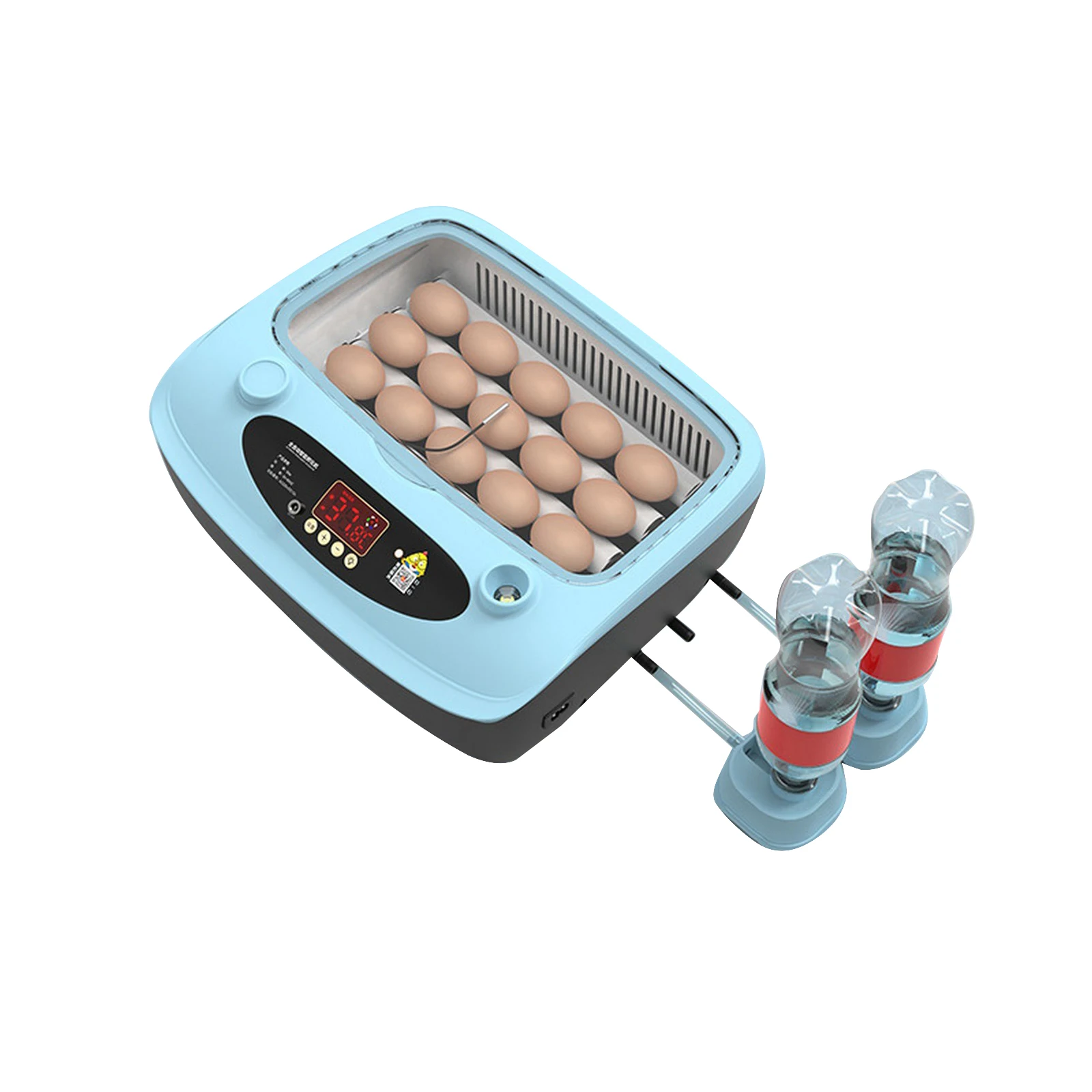 15 Eggs