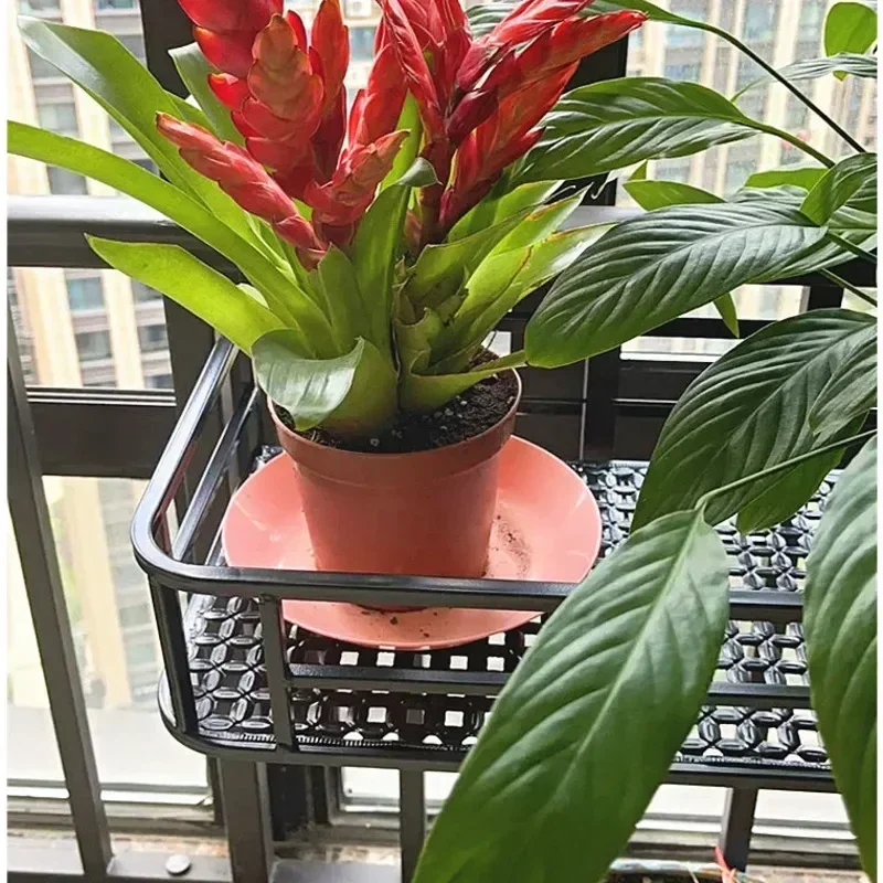 European-Style Flower Stand Expansive Iron Art Balcony Rail Organizer Elegant Decorative Hanging Pot Holder Urban Green Space plant stand