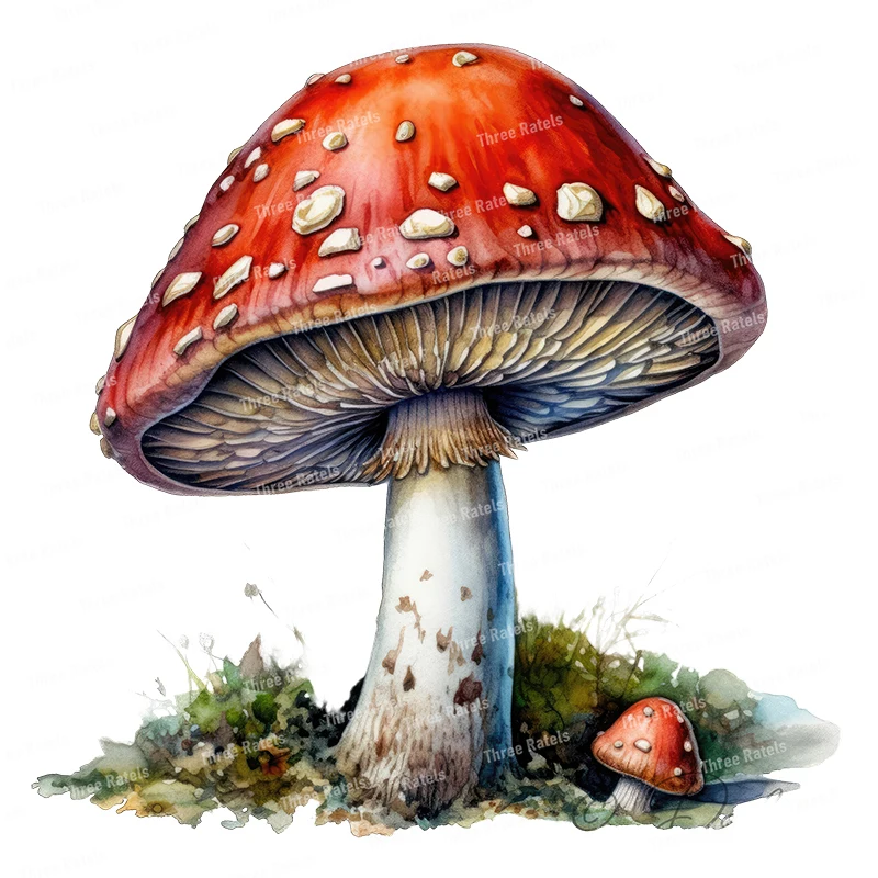 Three Ratels CF9 Cute wild mushroom watercolor cartoon stickers for children's bedroom wall stickers