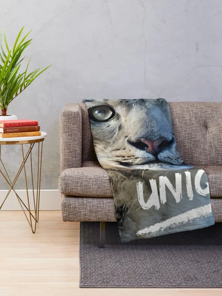 ��Ư�� ����� �����ĵ� ������ ���, ���� ���, ���Ÿ� ������ ���, �ڽ����� �ִϸ��̼�, ǫ���� �� ���