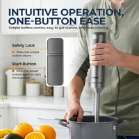 Feriales 4-in-1 Stabmixer Set Edelstahl – Leistungsstarker Mixer mit 14 Geschwindigkeiten – Pürierstab mit Zerkleinerer, Schneebesen & 700ml Becher 1