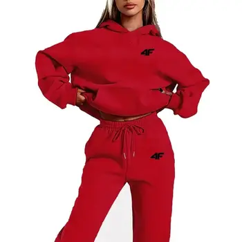 Number Letter Printed Women Hoodie set Street Hip Hop Clothing Casual Female 2pcs Clothing Plush sweatshirt Perfect for Outdoor 1