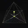 NEW Automatic Crab Trap Fishing Foldable Design Fishing Net Cage Wide Coverage Automatic Open Closing Supplementary Crab Cage 2
