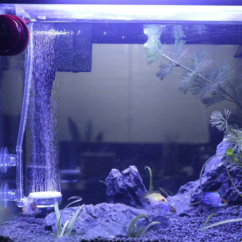 Aquarium Air Stone Fish Tank Nano Bubble Stone Kit With Control Valve Quiet Oxygen Diffuser oxygenator