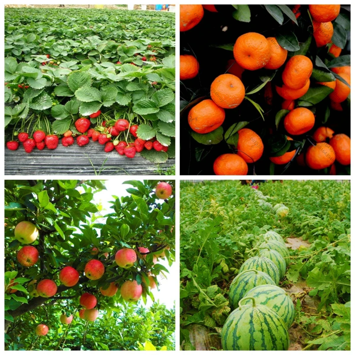 Slide image e6c4b8fe24934667a905c29f72aaac82