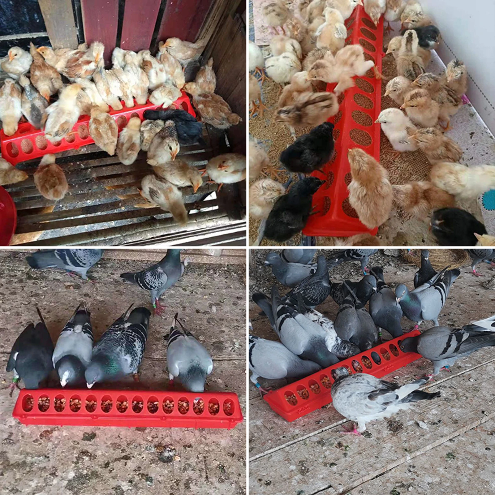 20/30/40/50cm 더블 행 12-28 구멍 가금류 지상 피더 플라스틱 대합 조개 먹이 치킨 그루브 농장 사육 용품
