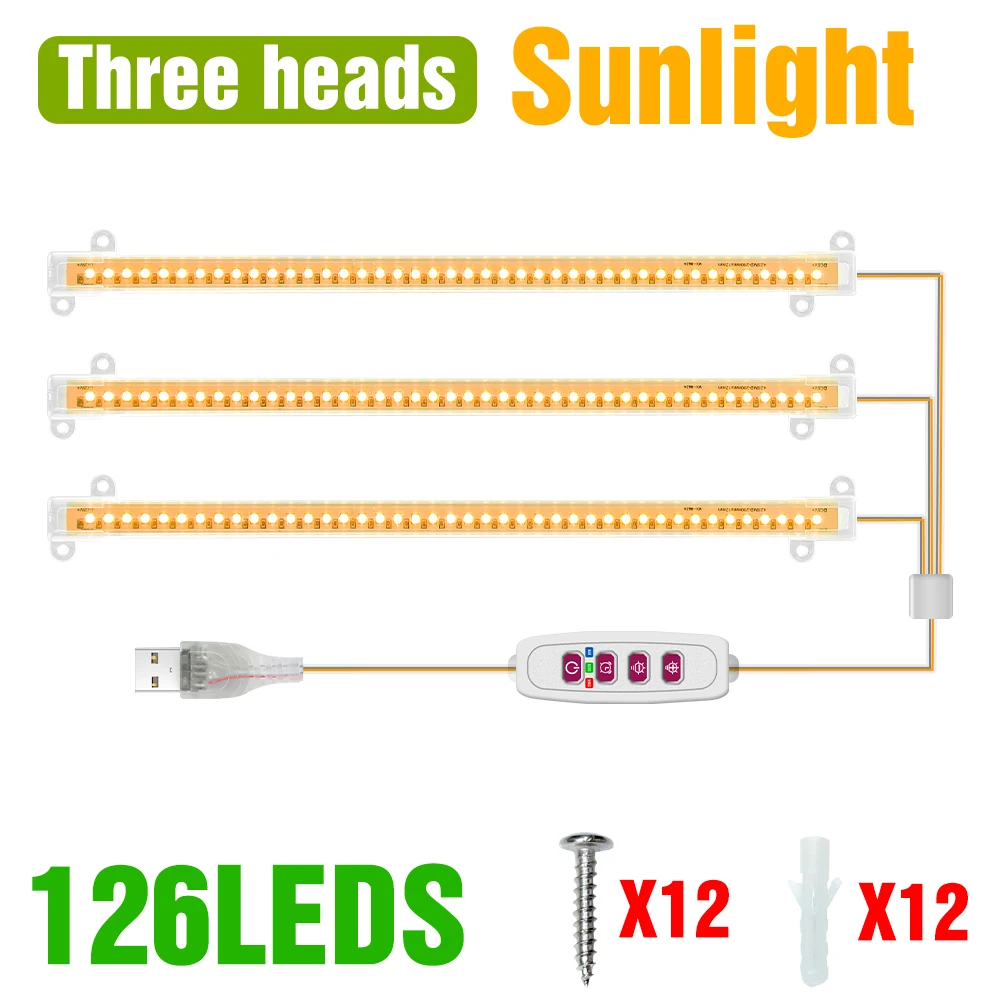 3-Pack-Sunlight