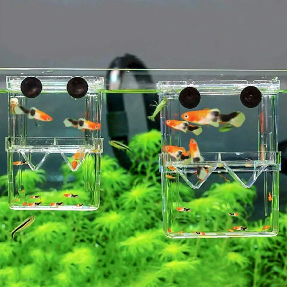 Fish Aquarium Aquarium Fish Breeder Box Durable Betta Fish Tank Breeding Isolation Box Hatching Incubator For Baby Shrimp