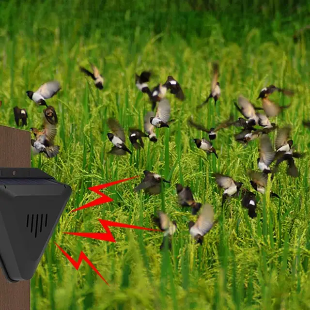Napenergia Állati Rátaanyagok 13 Fajta Hangját Lejátszás Riasztó Állatok Riasztás Szabadtéri Madárcsökkentő Forró - Image 5