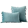 Inyahome Water Blue Velvet Soft Solid Decorative Throw Pillow Cover with Tassels Fringe Boho Cushion Case for Couch Sofa Bed 1