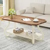 French Country Farmhouse Wood Tray Top Rustic ,Accent Rectangle VintageCoffeeTable with Storage, Carved Legs, for Living Room 2