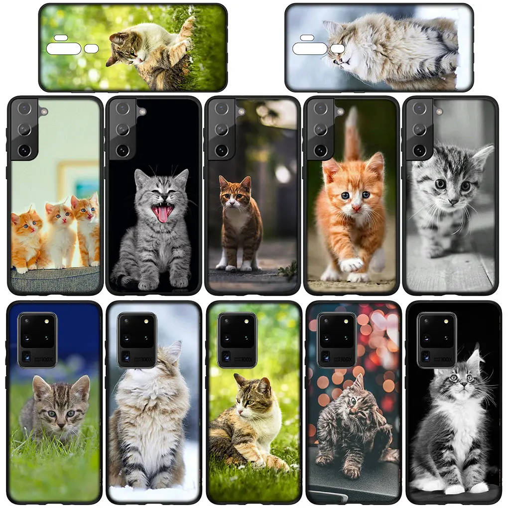 Adorable Kitten Cat Phone Case