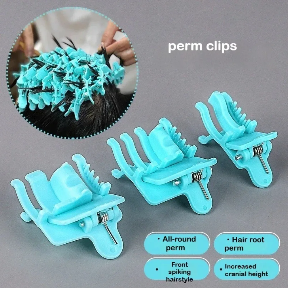 Reusable Hair Curl Styling Clips - 10 Pack