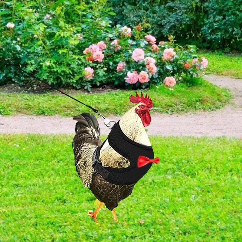 淮  ġŲ ϳ׽, ´  , ź̰  ⼺ ġŲ    