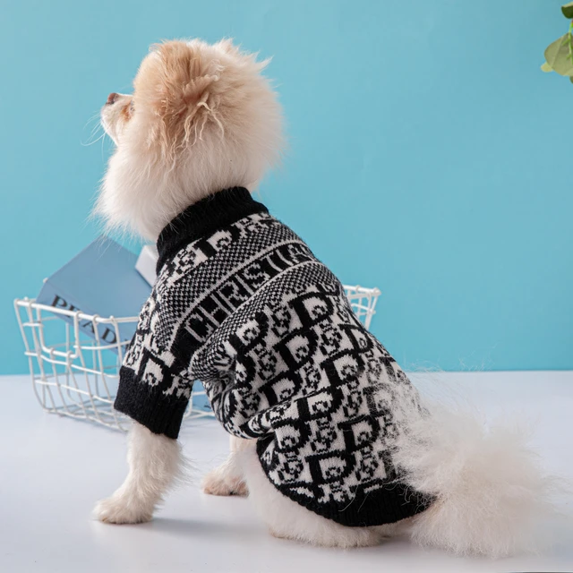 luxury dog clothing