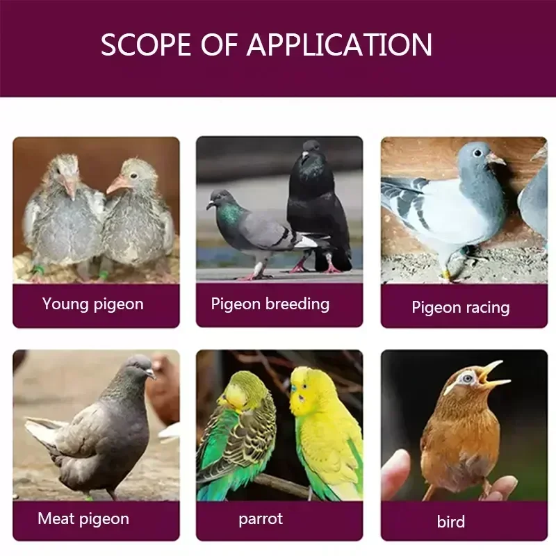Young Pigeon Growth Pills Nutritional Health Supplies Pigeon Conditioning Feed Brood Treasure Feather Breeding 600 Pills pigeon disease treatment