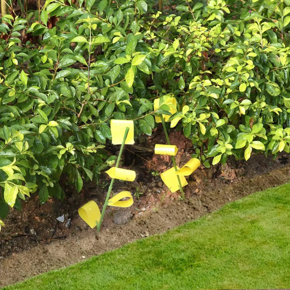 OwnGrown Piège à Mouches Jaune 60 Pièces - Papier Autocollant Anti-Mouche Pour Plantes D'Intérieur