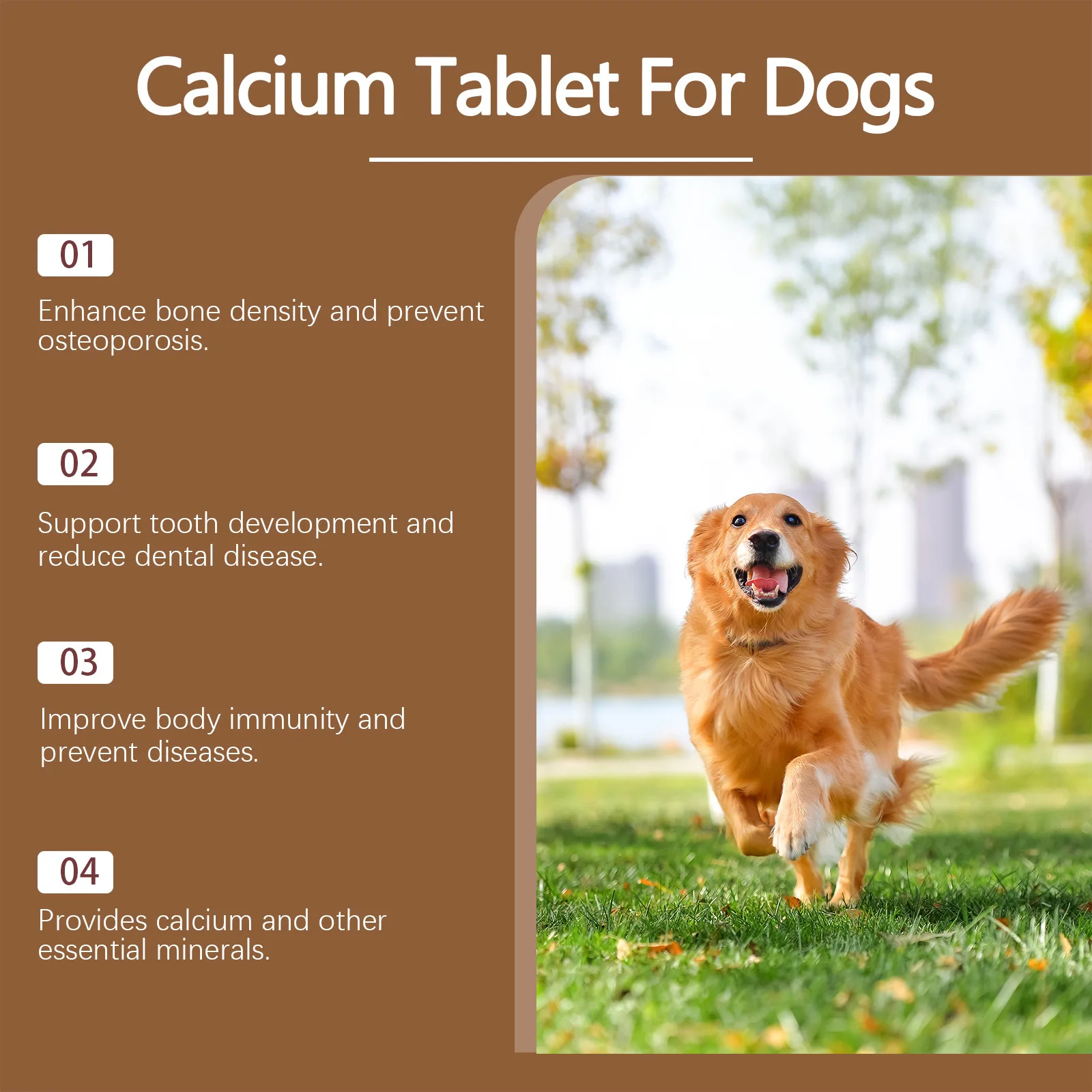 80 Count Calcium Tablets for Dogs Essential Vitamin Nutritional Supplement for Oral Health Dietary Wellness