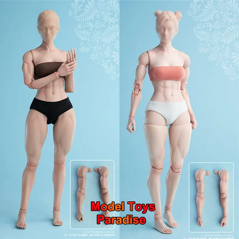 

Worldbox AT206 1/6 Women Soldier Muscle Body Movable Joints Female Body Fit 12inch Pale/Suntan Skin Action Figure Body