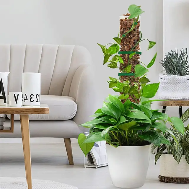 4Db -Os Növényoszlopok Beállított Vonatnövények Felfelé Nőnek A Kerti Növények Támogatása Beltéri Mászó Számára - Image 5