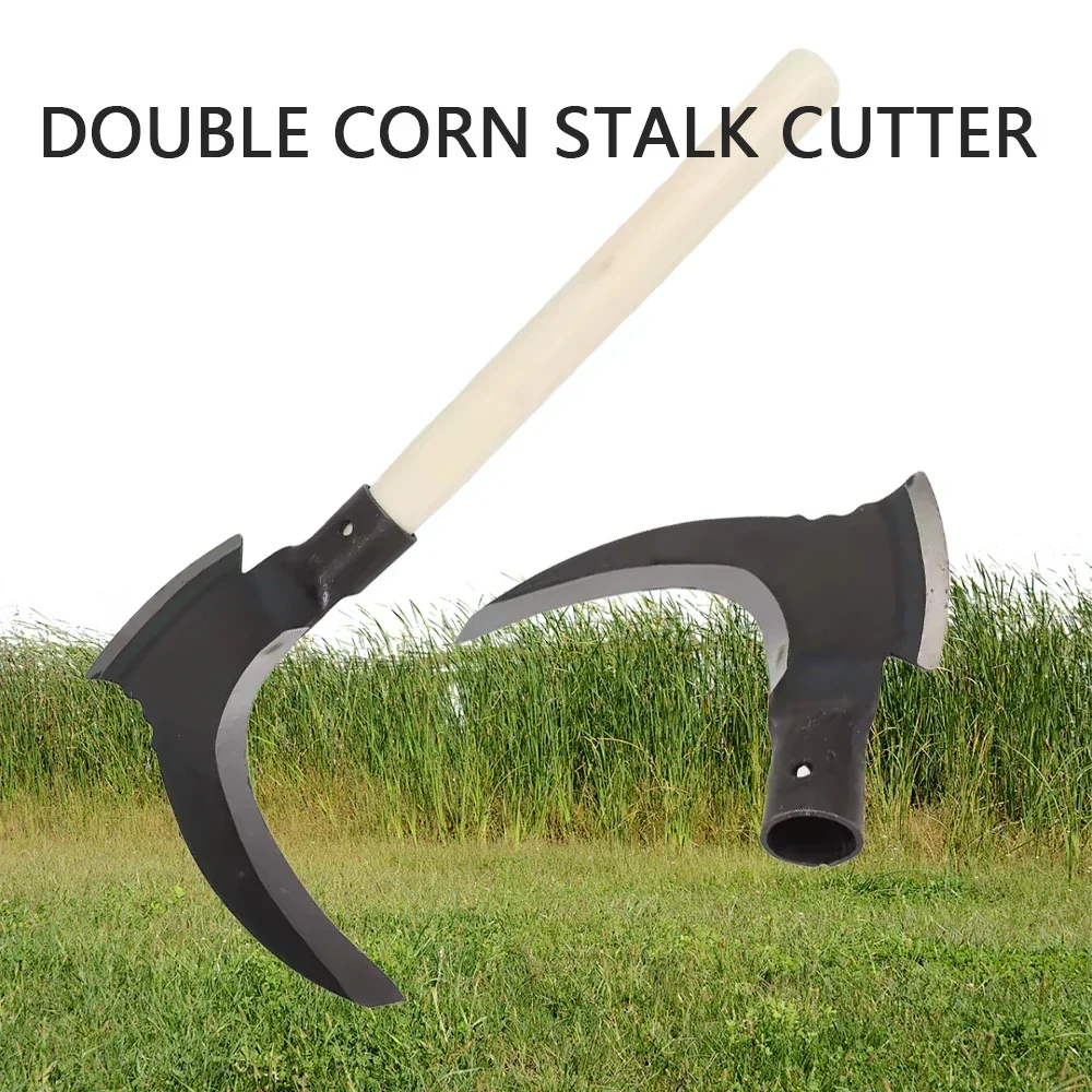 Pinterest, image size:1000x1000