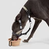Soft Dog Head Collar Patented Padded No Pull Head Halter Training Nose Leash with Safety Link for Medium Large Dogs Adjustable 6