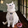 Winter Chihuahua Harness Warm Pet Cat Harness Vest Clothes Padded Dog Coat for Small Dogs Yorkshire  French Bulldog 2