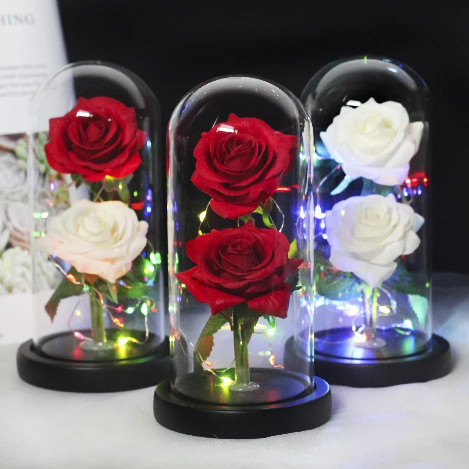 

Two Rose,Forever Rose In Glass Dome, Eternal Red Rose,Special Preserved Rose, Romantic Gift to Girlfriend/Women,Birthday Gift