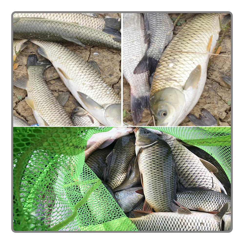 100g Tongbao rubber band grain bait red worm earthworm snail meat grass grasshopper sweet potato bait freshwater fish universal