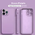 Grass Purple