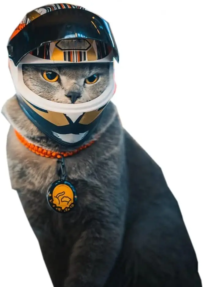 Cat Motorcycle Helmet – Pride Armour