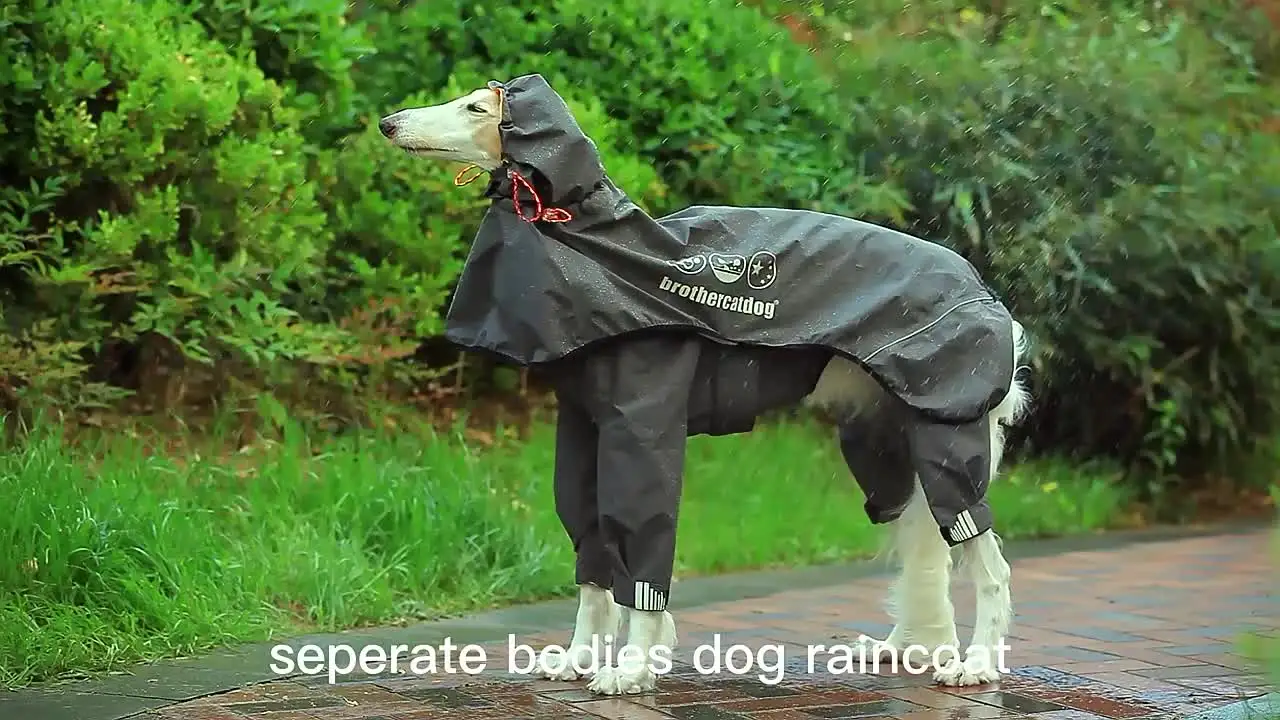 Acheter Vêtements Pour Chiens à Col Roulé, Lévrier Italien Whippet