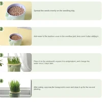 New Pet Cat Sprout Dish Growing Pot Hydroponic Plant Cat Grass Germination Digestion Starter Dish Greenhouse Grow 5