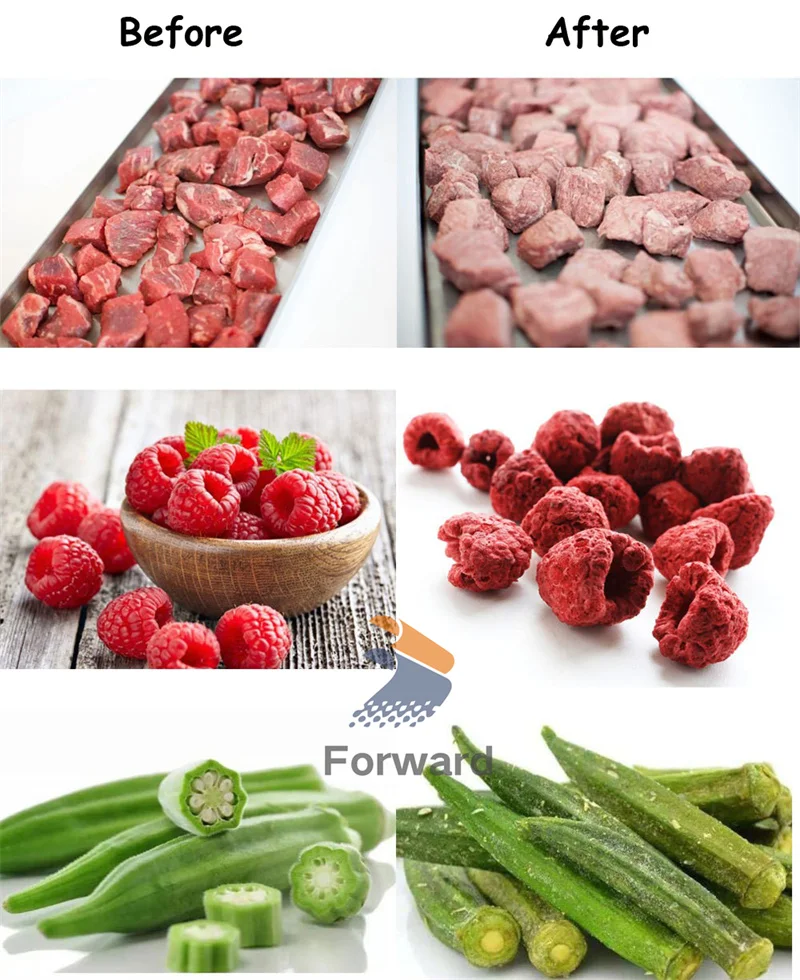 https://ae01.alicdn.com/kf/Sa19886adaef141eabe444faa7214010cm/55-degree-Low-Temperature-Vacuum-Freeze-Dryer-Machine-Vegetables-Fruit-Vacuum-Freeze-Dryer-Mini-Lyophilizer.jpg