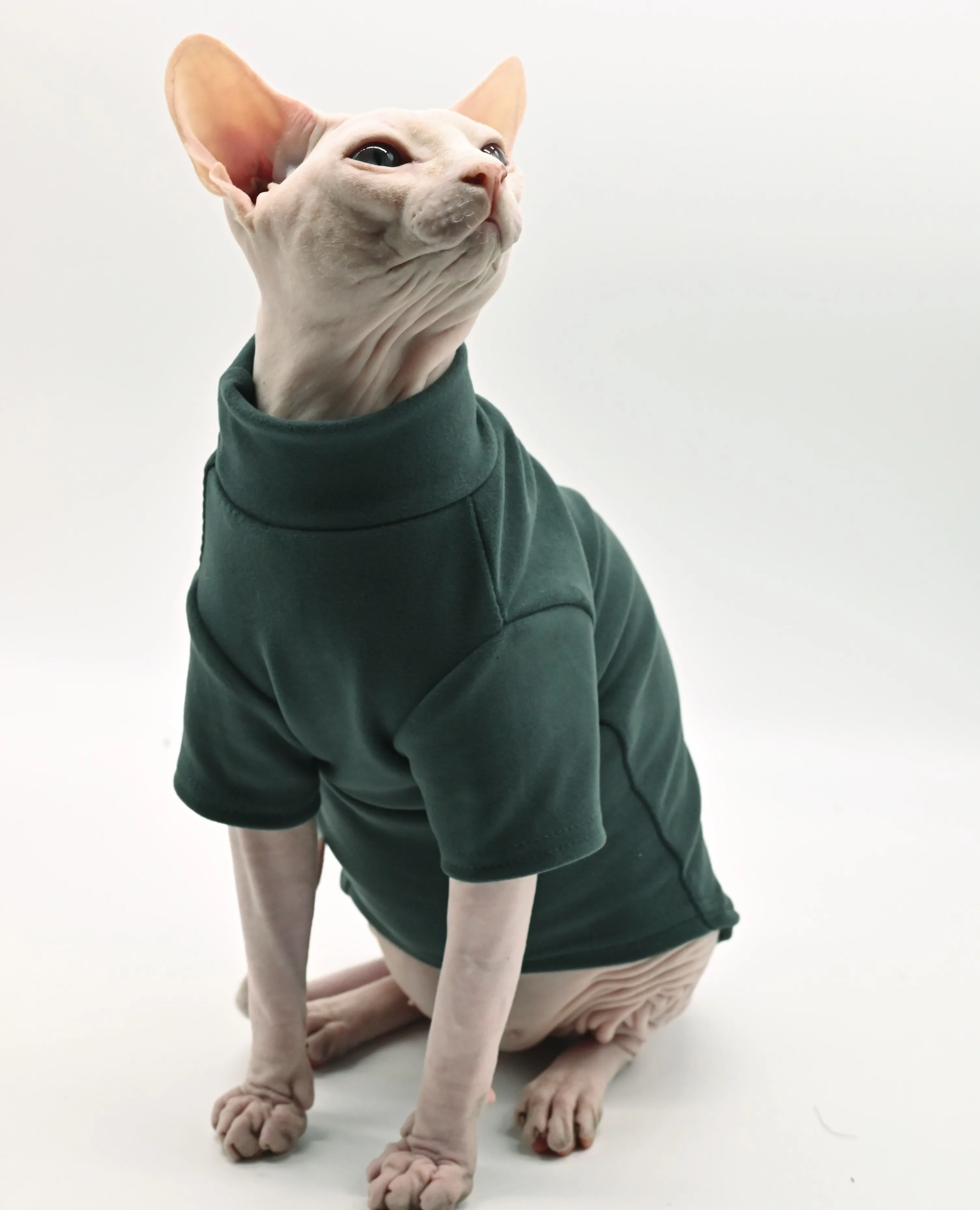 고양이와 개를 위한 세련되고 따뜻한 스핑크스 조끼, 털이 없는 고양이, 데본 렉스, 콘월 렉스, 작은 고양이와 개