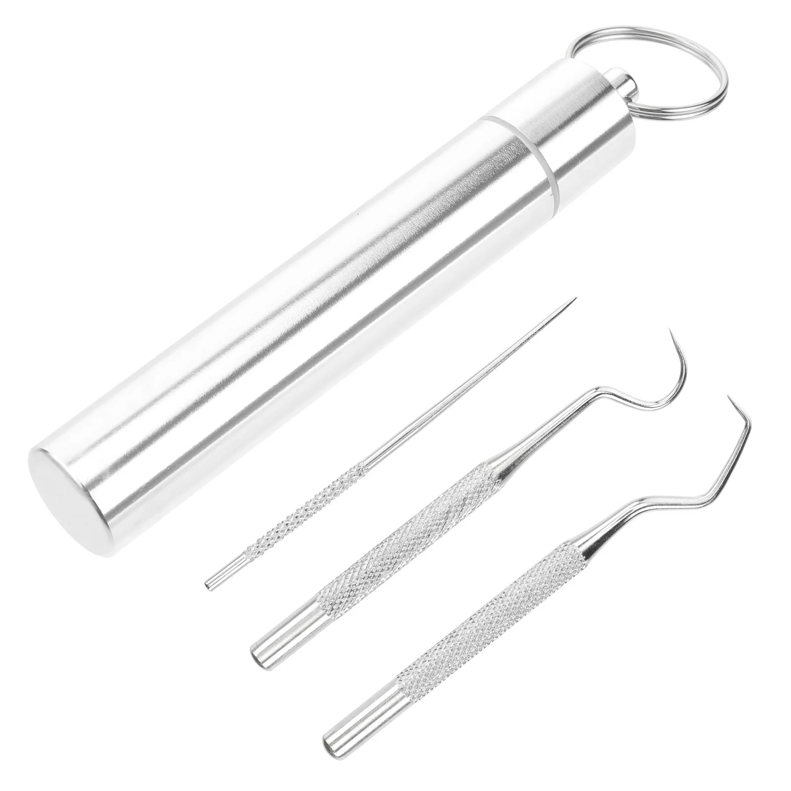 Toothpick Pocket Stainless Steel Cleaning Portable Set Toothpicks