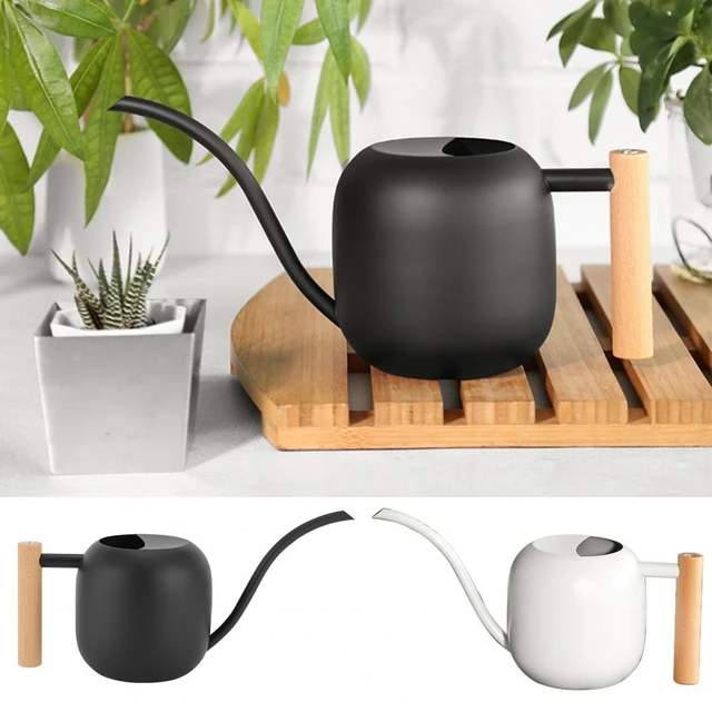 Arrosoir pour plantes en pot, 2L, outils d'arrosage pour bonsaï, jardin, plantes  d'intérieur et d'extérieur - AliExpress