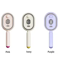 Wet Electrics Hairbrush with Water Spray Rechargeable Steams Hair Straightener for Detangling Smoothing Styling & Frizz Control 2