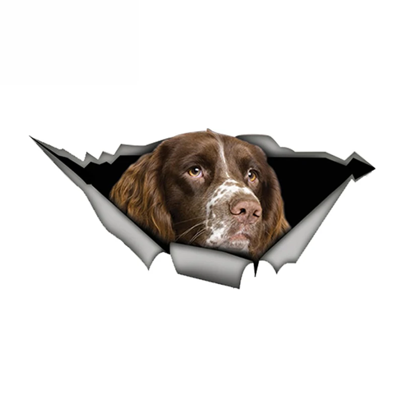 

Springer Spaniel Автомобильная наклейка рваная металлическая наклейка светоотражающие наклейки водонепроницаемые 3D Стильные наклейки для домашних животных и собак 13 см x 6 см
