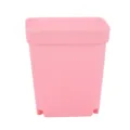 10PCS PINK
