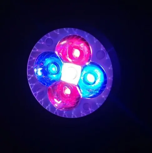 2red2blue1w